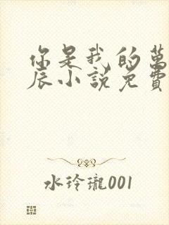 你是我的万千星辰小说免费