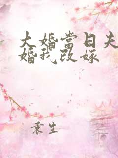 大婚当日夫君逃婚我改嫁