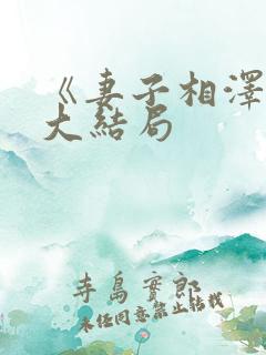 《妻子相泽南》大结局