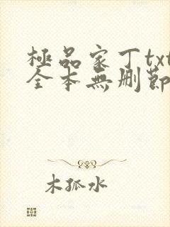 极品家丁txt全本无删节