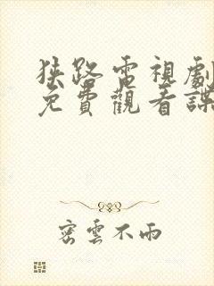 狭路电视剧全集免费观看谍影网