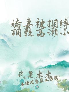 娇妻被捆缚羞耻调教高潮小说