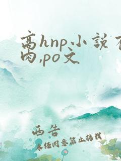 高hnp小说有肉,po文