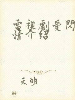 电视剧爱闪亮剧情介绍