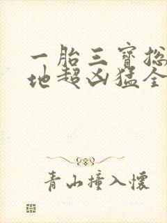 一胎三宝总裁爹地超凶猛全文免费