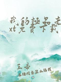 我的极品老婆txt免费下载