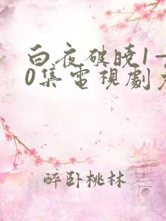 白夜破晓1—40集电视剧免费观看