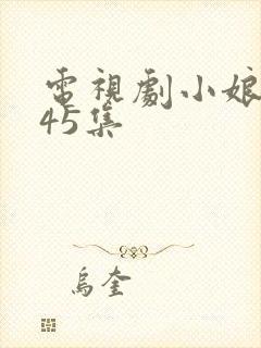 电视剧小娘惹第45集