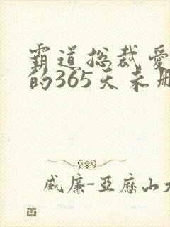 霸道总裁爱上我的365天未删减版