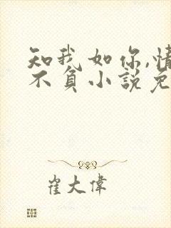 知我如你,情深不负小说免费阅读