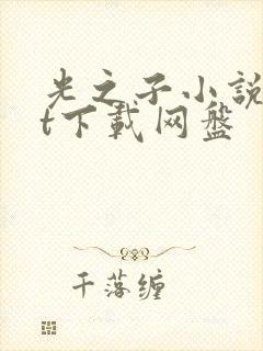 光之子小说txt下载网盘