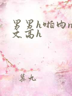 男男h啪肉np文高h