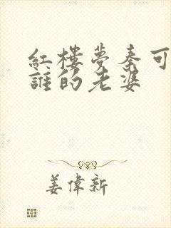 红楼梦秦可卿是谁的老婆