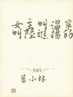 女主叫温宁男主叫陆进扬的小说