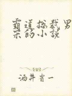 霸道总裁男主姓宋的小说