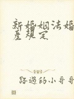 新婚姻法婚前财产规定