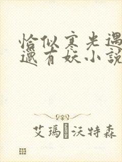 恰似寒光遇骄阳邋有妖小说在线阅读