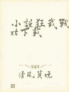 小说狂武战帝txt下载