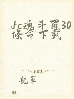 fc魂斗罗30条命下载