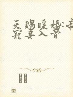 天赐暖婚:帝少宠妻入骨