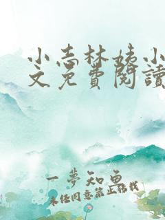 小志林姨小说全文免费阅读