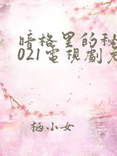 暗格里的秘密2021电视剧免费观看