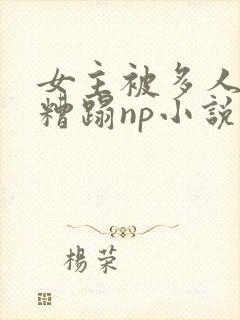 女主被多人强迫糟蹋np小说
