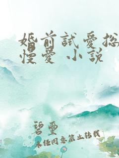 婚前试爱总裁慢慢爱 小说