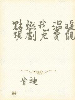 点燃我温暖你电视剧免费观看36集