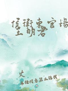 侯卫东官场笔记 王明君