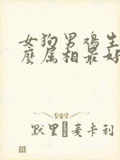 女狗男鸡生个什么属相最好