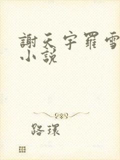 谢天宇罗雪宋渺小说