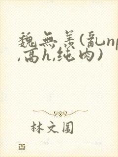 魏无羡(乱np,高h,纯肉)