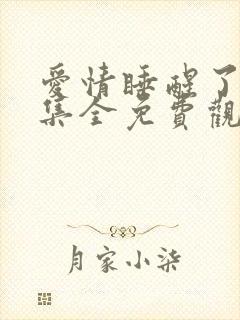 爱情睡醒了40集全免费观看电视剧西瓜