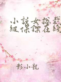 小说女总裁的神级保镖在线观看