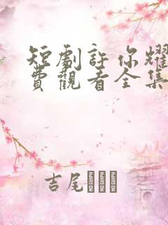 短剧许你耀眼免费观看全集