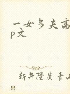 一女多夫高辣np文