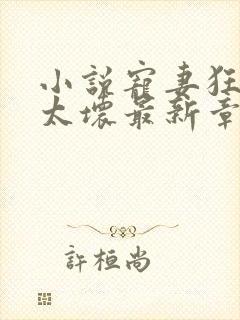 小说宠妻狂魔别太坏最新章节