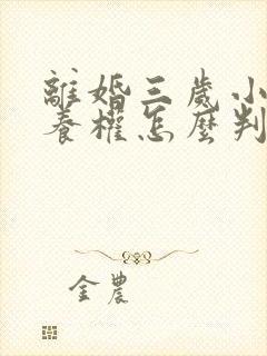 离婚三岁小孩抚养权怎么判