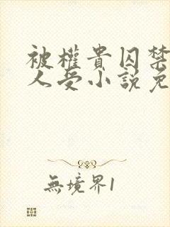 被权贵囚禁的美人受小说免费阅读下