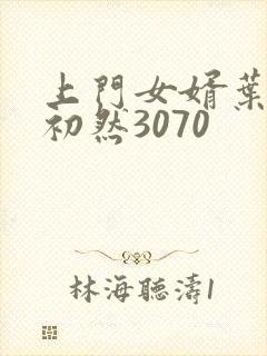 上门女婿叶辰萧初然3070