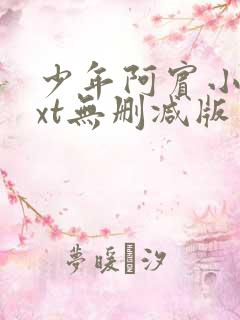 少年阿宾小说txt无删减版