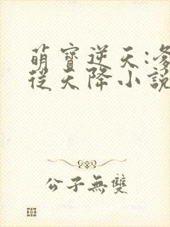 萌宝逆天:爹地从天降小说全文免费阅读