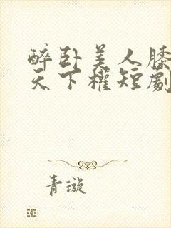 醉卧美人膝醒掌天下权短剧免费看