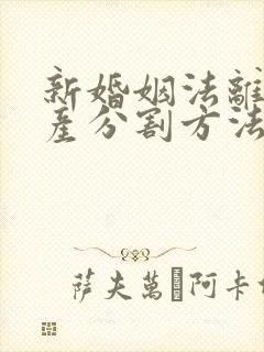 新婚姻法离婚财产分割方法