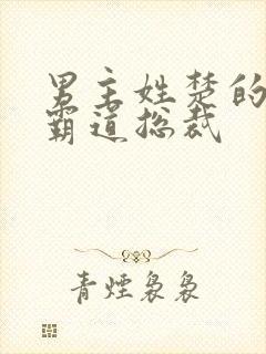 男主姓楚的小说霸道总裁