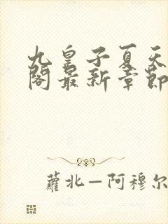 九皇子夏天笔趣阁最新章节