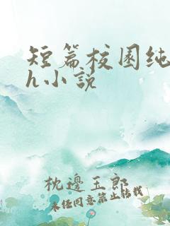 短篇校园纯肉高h小说