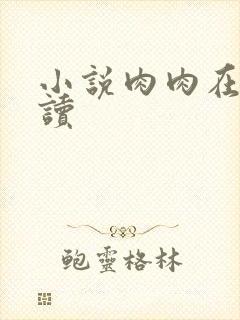 小说肉肉在线阅读