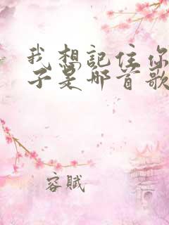 我想记住你的样子是哪首歌的歌词